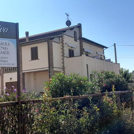 Agriturismo Il Vecchio Olivo Castagneto Carducci Dış mekan fotoğraf
