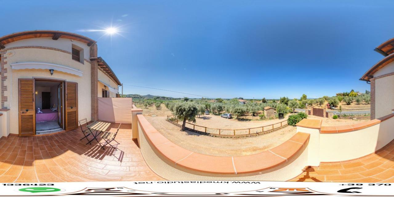 Agriturismo Il Vecchio Olivo Castagneto Carducci Dış mekan fotoğraf