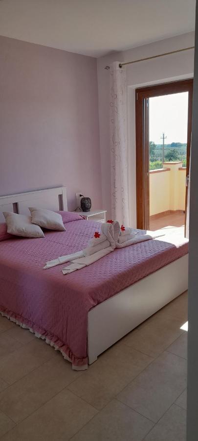 Agriturismo Il Vecchio Olivo Castagneto Carducci Dış mekan fotoğraf