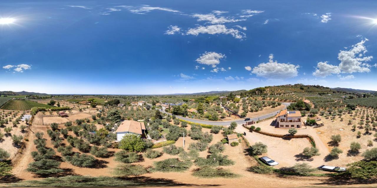 Agriturismo Il Vecchio Olivo Castagneto Carducci Dış mekan fotoğraf
