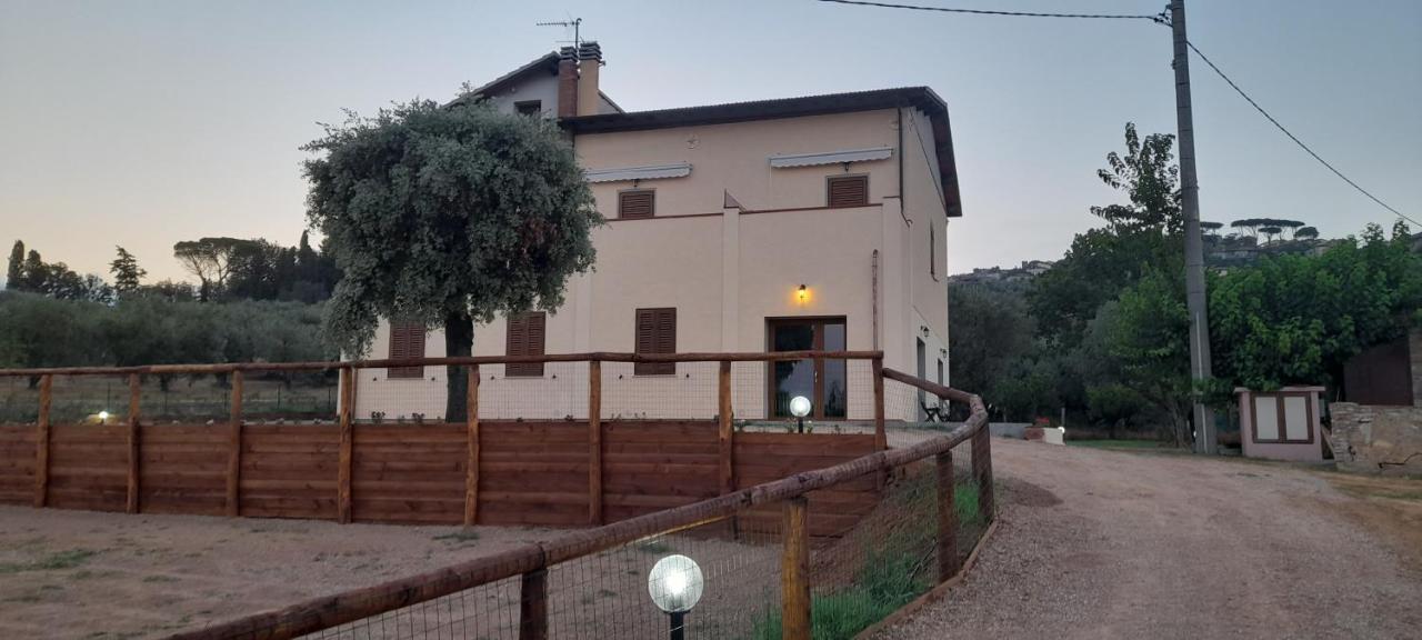Agriturismo Il Vecchio Olivo Castagneto Carducci Dış mekan fotoğraf