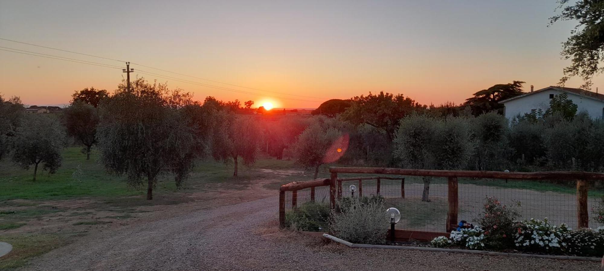 Agriturismo Il Vecchio Olivo Castagneto Carducci Dış mekan fotoğraf